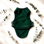 Paw Crate™ Dog Soothing Jacket — Premium forest green jacket product flat lay