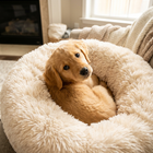 Puppy looking up from cozy Paw Crate Calming Donut Bed
