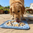 Golden retriever enjoying frozen Paw Crate Calming Lick Mat on sunny patio