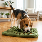 Beagle finding hidden treats in Paw Crate Snuffle Mat enrichment activity